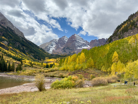 The Story Behind Zema & Co.